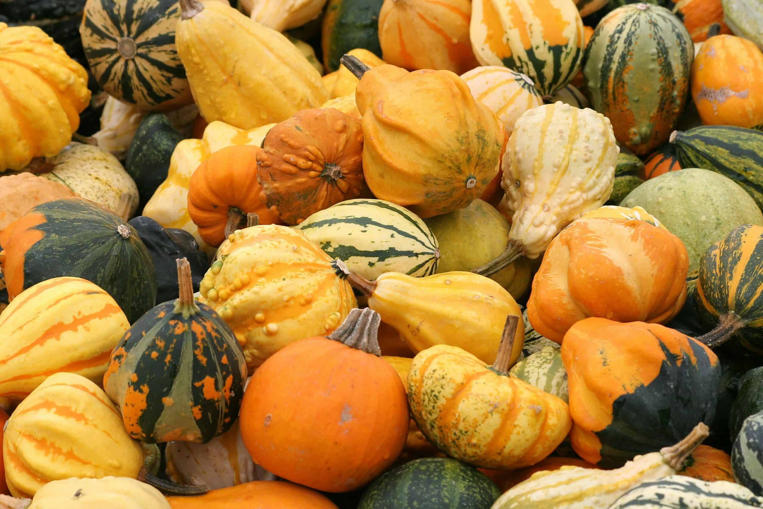 November